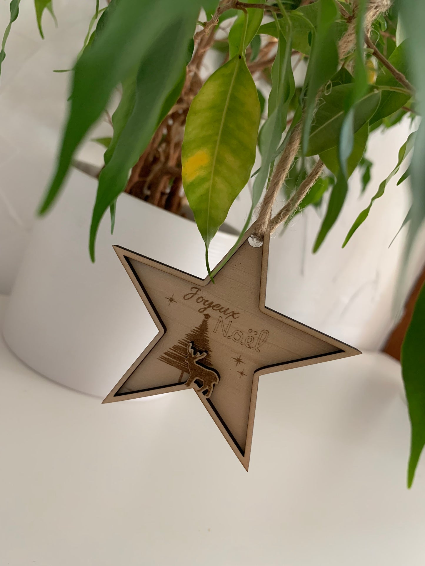 Boule de noël étoile/renne